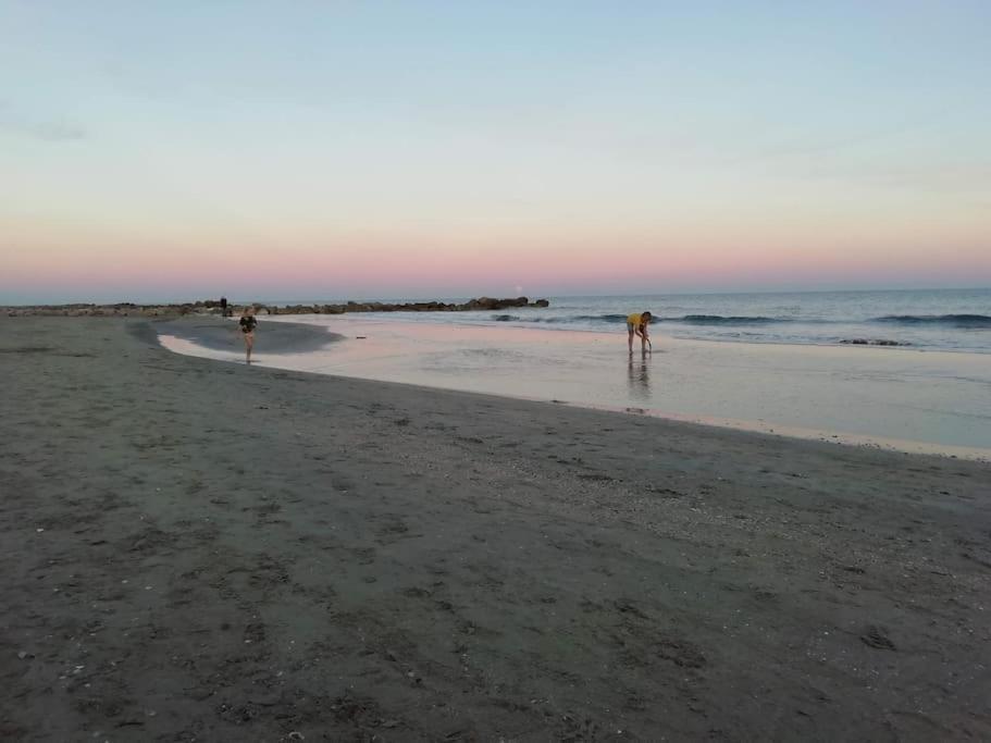 Appart 5P Terrasse Sud Vue Mer, Acces Direct Plage Frontignan Exterior foto