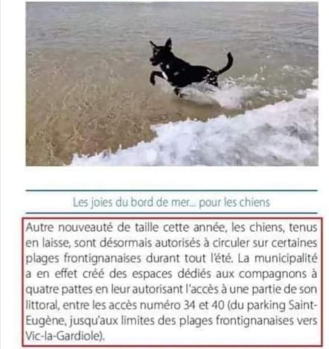 Appart 5P Terrasse Sud Vue Mer, Acces Direct Plage Frontignan Exterior foto